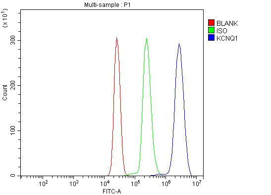 KCNQ1 Antibody in Flow Cytometry (Flow)