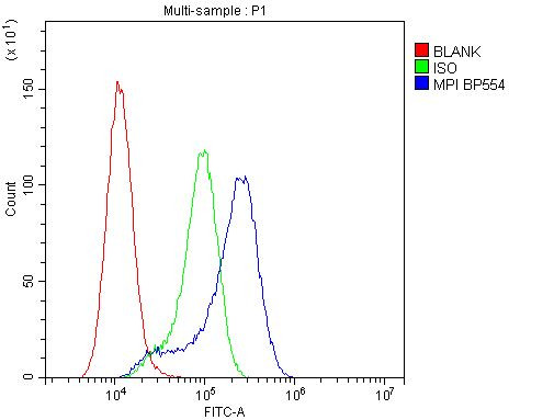 MPI Antibody in Flow Cytometry (Flow)