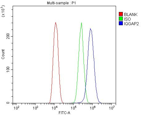 IQGAP2 Antibody in Flow Cytometry (Flow)