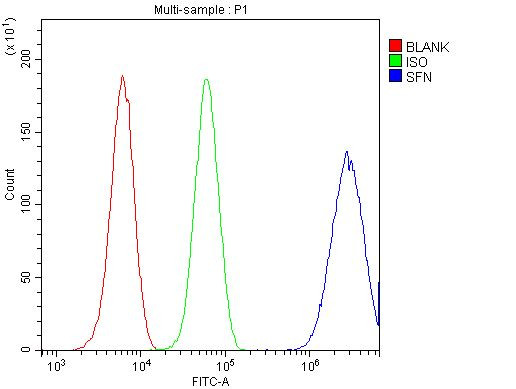 14-3-3 sigma Antibody in Flow Cytometry (Flow)