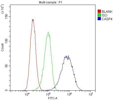 Caspase 4 Antibody in Flow Cytometry (Flow)