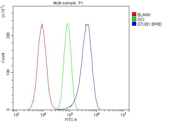 STUB1 Antibody in Flow Cytometry (Flow)