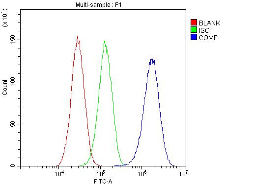 COMP Antibody in Flow Cytometry (Flow)