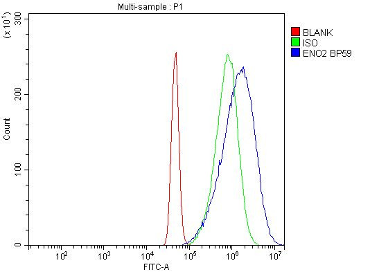 NSE Antibody in Flow Cytometry (Flow)