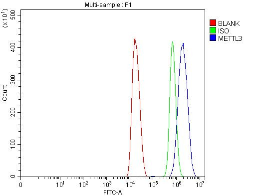 METTL3 Antibody in Flow Cytometry (Flow)