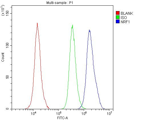 NRF1 Antibody in Flow Cytometry (Flow)