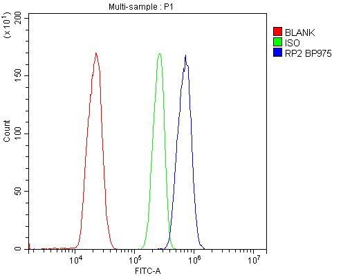 RP2 Antibody in Flow Cytometry (Flow)