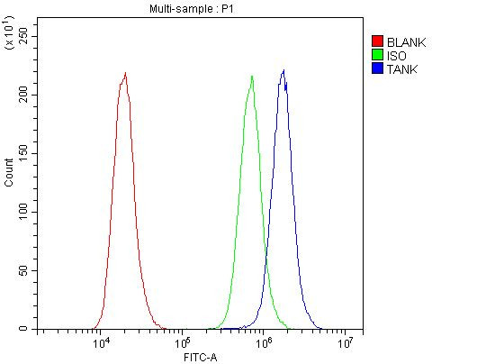 TANK Antibody in Flow Cytometry (Flow)