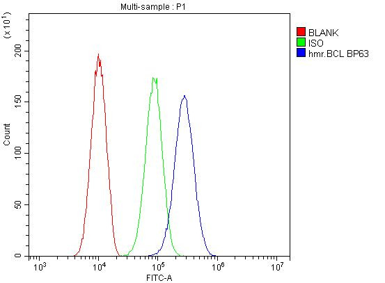 BCL6 Antibody in Flow Cytometry (Flow)