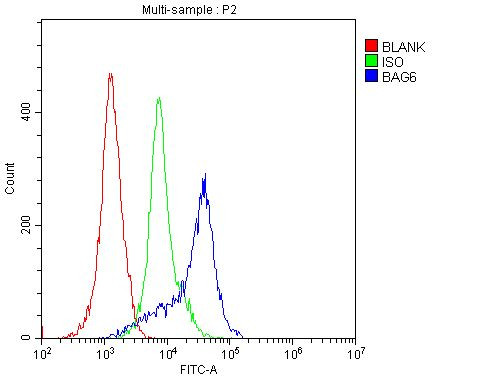 BAG6 Antibody in Flow Cytometry (Flow)