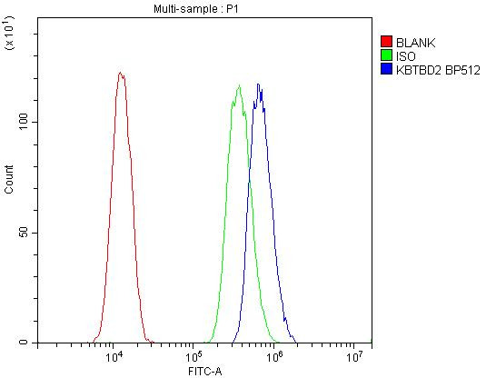 KBTBD2 Antibody in Flow Cytometry (Flow)