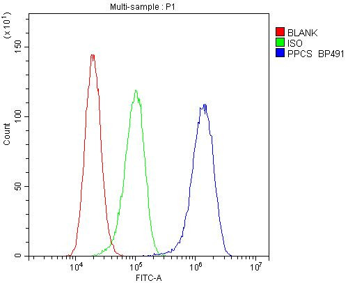 PPCS Antibody in Flow Cytometry (Flow)