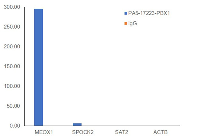 PBX1 Antibody in ChIP Assay (ChIP)