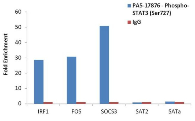 Phospho-STAT3 (Ser727) Antibody in ChIP Assay (ChIP)