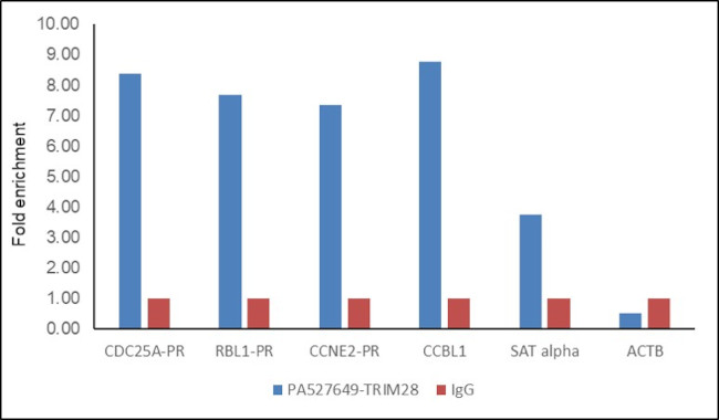 TRIM28 Antibody in ChIP Assay (ChIP)