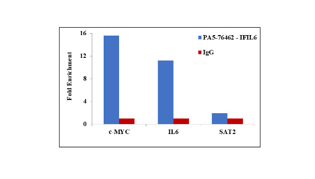 IFI16 Antibody in ChIP Assay (ChIP)