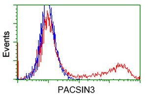 PACSIN3 Antibody in Flow Cytometry (Flow)