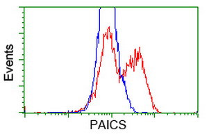 PAICS Antibody in Flow Cytometry (Flow)