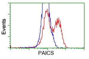 PAICS Antibody in Flow Cytometry (Flow)