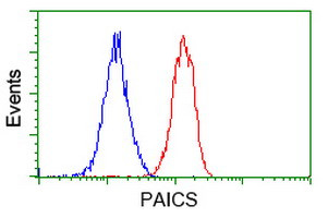 PAICS Antibody in Flow Cytometry (Flow)