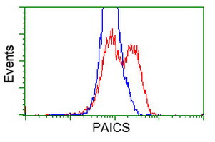 PAICS Antibody in Flow Cytometry (Flow)