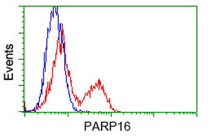 PARP16 Antibody in Flow Cytometry (Flow)