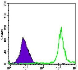 PARP1 Antibody in Flow Cytometry (Flow)