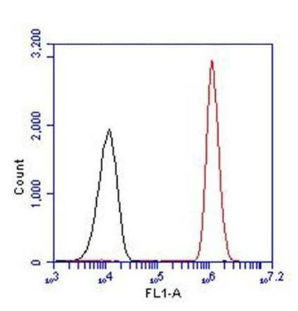 PAX5 Antibody in Flow Cytometry (Flow)