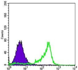 PAX6 Antibody in Flow Cytometry (Flow)