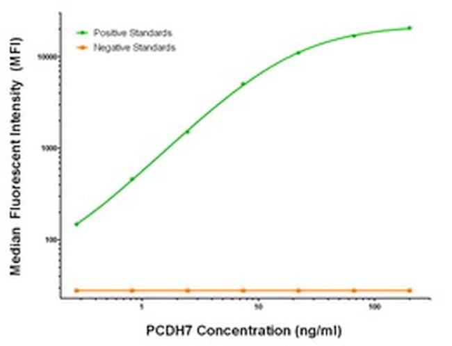 PCDH7 Antibody in Luminex (LUM)