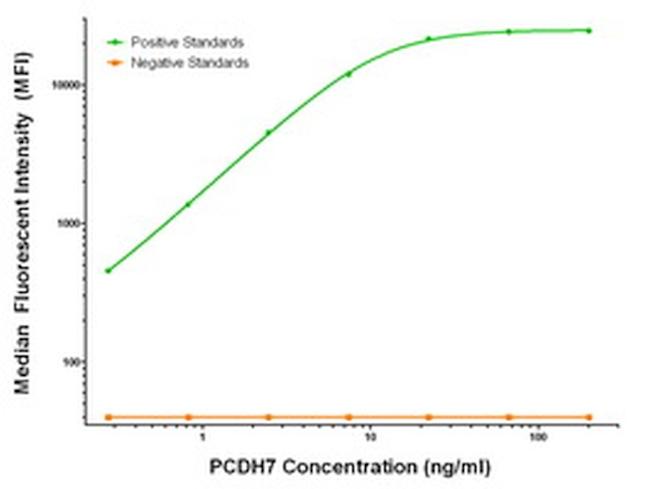 PCDH7 Antibody in Luminex (LUM)