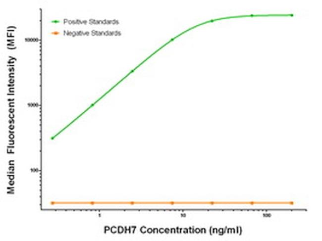 PCDH7 Antibody in Luminex (LUM)