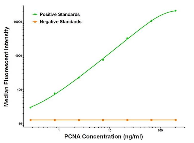 PCNA Antibody in Luminex (LUM)