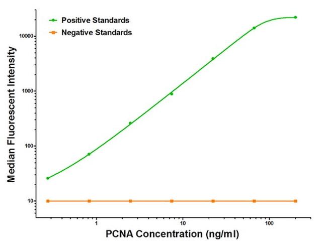 PCNA Antibody in Luminex (LUM)