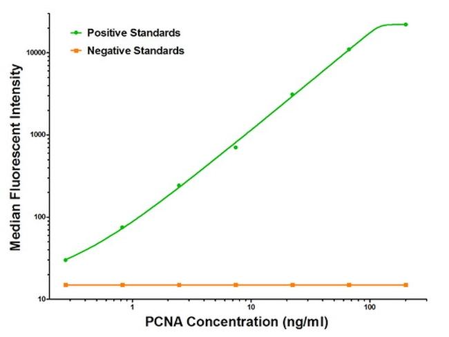 PCNA Antibody in Luminex (LUM)