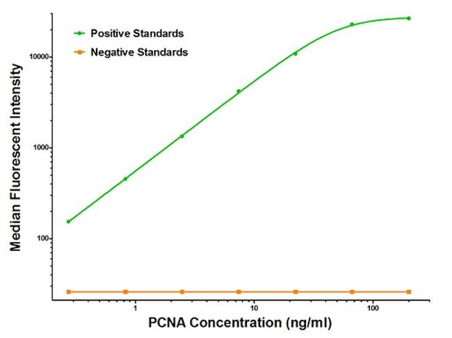 PCNA Antibody in Luminex (LUM)