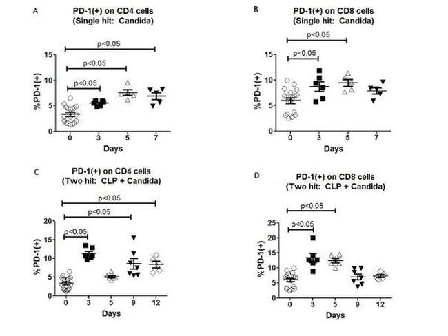 CD279 (PD-1) Antibody in Flow Cytometry (Flow)