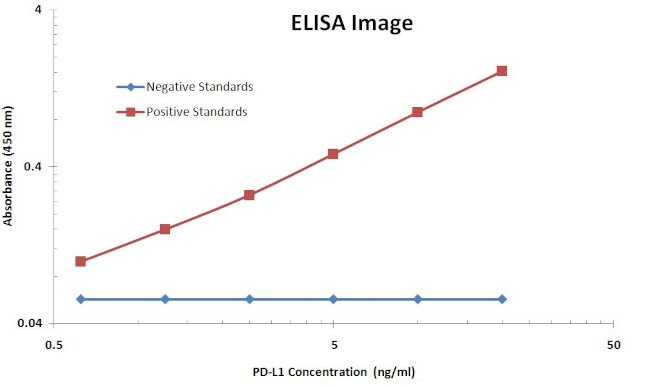 PD-L1 Antibody in ELISA (ELISA)