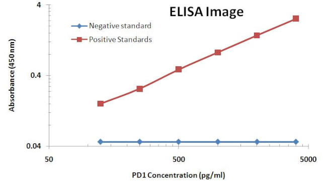 PDCD1 Antibody in ELISA (ELISA)