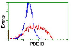 PDE1B Antibody in Flow Cytometry (Flow)