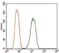 PDE1B Antibody in Flow Cytometry (Flow)