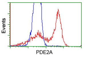 PDE2A Antibody in Flow Cytometry (Flow)