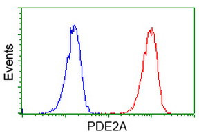 PDE2A Antibody in Flow Cytometry (Flow)