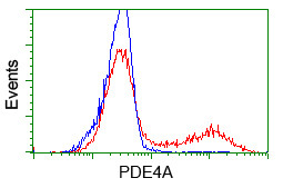 PDE4A Antibody in Flow Cytometry (Flow)