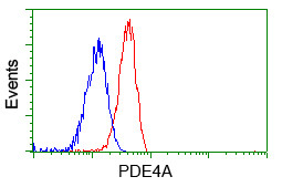 PDE4A Antibody in Flow Cytometry (Flow)