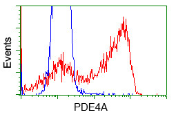 PDE4A Antibody in Flow Cytometry (Flow)