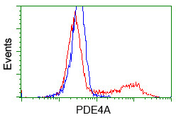 PDE4A Antibody in Flow Cytometry (Flow)