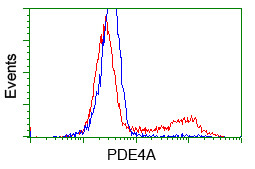 PDE4A Antibody in Flow Cytometry (Flow)