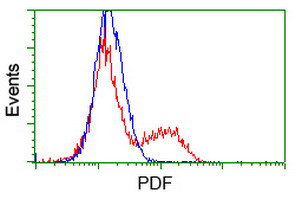 PDF Antibody in Flow Cytometry (Flow)