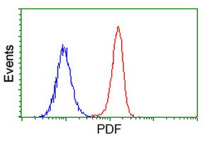 PDF Antibody in Flow Cytometry (Flow)